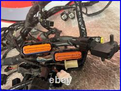 Kawasaki Zx6r Harness Zx6r Wiring Loom Zx-6r Wiring Harness Zx6 Loom