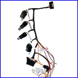 LS Series Stand Alone Wiring Harness With Blue Green OEM ECU