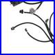 LS_Swap_Standalone_Wiring_Harness_Drive_By_Wire_DBW_4L60E_For_4L70E_4L75E_Tr_NEW_01_nx