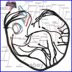 LS Wiring Harness Drive by Cable 5.3, ls Stand Alone Wiring Harness 4L60E DBC
