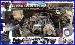 LS Wiring Harness Drive by Cable 5.3, ls Stand Alone Wiring Harness 4L60E DBC