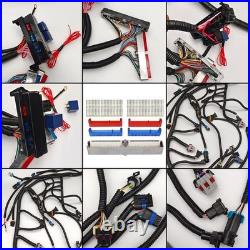 LS Wiring Harness Drive by Cable 5.3, ls Stand Alone Wiring Harness 4L60E DBC