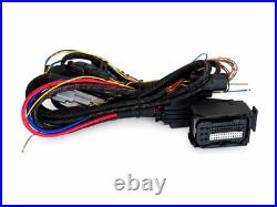 M57n M57n2 Standalone wiring harness for engine conversion DDE 5/6