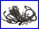 MV_AUGUSTA_TURISMO_VELOCE_Wiring_Harness_Wire_Loom_8000C1397_A_2019_01_gv