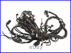 MV AUGUSTA TURISMO VELOCE Wiring Harness Wire Loom 8000C1397 A 2019 MV AUGUSTA TURISMO VELOCE Wiring Harness Wire Loom 8000C1397 A 2019