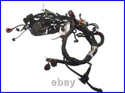 MV AUGUSTA TURISMO VELOCE Wiring Harness Wire Loom 8000C1397 A 2019 MV AUGUSTA TURISMO VELOCE Wiring Harness Wire Loom 8000C1397 A 2019