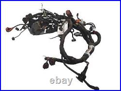 MV AUGUSTA TURISMO VELOCE Wiring Harness Wire Loom 8000C1397 A 2019