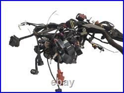 MV AUGUSTA TURISMO VELOCE Wiring Harness Wire Loom 8000C1397 A 2019 MV AUGUSTA TURISMO VELOCE Wiring Harness Wire Loom 8000C1397 A 2019