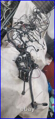 Mercedes-Benz W123 Estate Wagon Engine Chassis Body Wire Wiring Harness