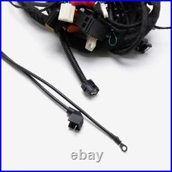 Motorcycle Wiring Loom (WRLM308) FROM CMPO NEW CABLE HARNESS HARNES Motorcycle Wiring Loom (WRLM308) FROM CMPO NEW CABLE HARNESS HARNES