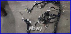 NISSAN Elgrand E51 Series 2, Main Dash Wiring Harness 24010wl667