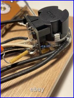 PRS SE CE 24 Wiring Harness CTS Push / Pull Coil Split 3 Way Blade Switch