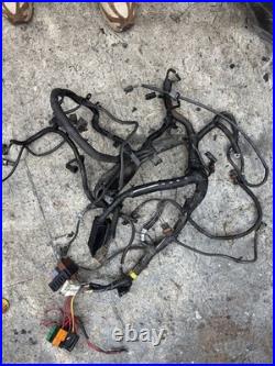Renault Clio Sport Mk2 2001-2006 172 182 F4R Engine Injector Wiring Loom Harness