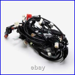 Scooter Wiring Loom (WRLM301) BNIB CABLE HARNESS HARNES WIRE CHARGE MAIN HARNE