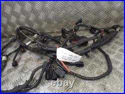 Suzuki GSF1250 GSF1250 2007-2008 Wiring Loom Wire Harness