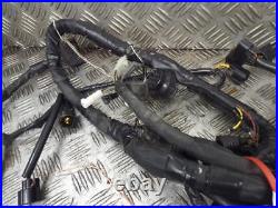 Suzuki GSF1250 GSF1250 2007-2008 Wiring Loom Wire Harness