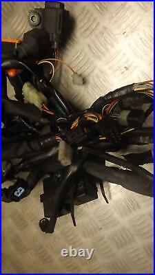 Suzuki VL800 VL 800 Boulevard 2004 Wiring Loom Wire Harness