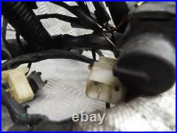 Suzuki XN85 Turbo 1983-1984 83-84 Rare Main Wire Wiring Loom Harness
