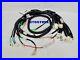 TAOTAO_CY50A_VIP_50cc_SCOOTER_COMPLETE_WIRING_HARNESS_ASSEMBLY_OEM_01_ja