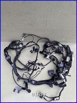 Triumph Speed Triple 1200 RR Main Wire Harness Wires Wiring Loom Full Loom 2022