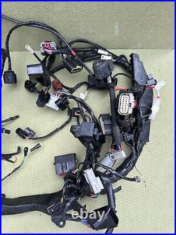 Triumph Speed Triple 1200 RR Main Wire Harness Wires Wiring Loom Full Loom 2022