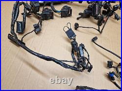 Triumph Tiger 1200 XCA Wiring loom harness Complete 2018 2021