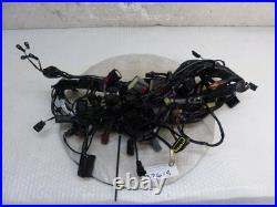 Triumph Tiger 900 2023 2502370/4 Wiring Harness (37615)