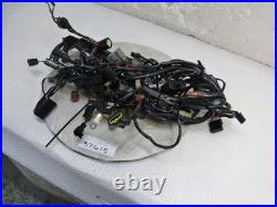 Triumph Tiger 900 2023 2502370/4 Wiring Harness (37615)