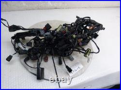 Triumph Tiger 900 2023 2502370/4 Wiring Harness (37615)
