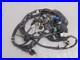 Vespa_Primavera_125cc_150cc_2014_Wiring_Harness_Loom_New_1D000931_01_ts