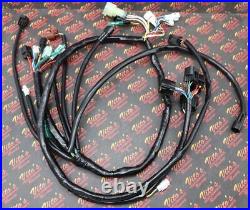Wire Harness Raptor 660 OEM REPLACEMENT Wiring loom + Plugs 2002 2003 2004 660r