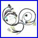 Wire_Wiring_Harness_for_Honda_TRX_450R_TRX450R_Sportrax_450_2X4_2004_2005_32100_01_jlr