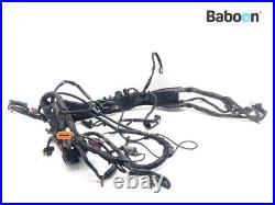 Wiring Harness (Main) Harley-Davidson FLTRX Road Glide Custom 2010-2013 70377