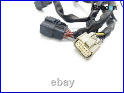 Wiring Harness (Main) Harley-Davidson FLTRX Road Glide Custom 2010-2013 70377
