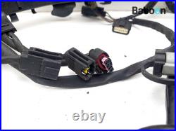 Wiring Harness (Main) Harley-Davidson FLTRX Road Glide Custom 2010-2013 70377