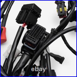 Wiring Loom Easy Installation Street Motorcycle WRLM335 12V CABLE HARNESS WIRE