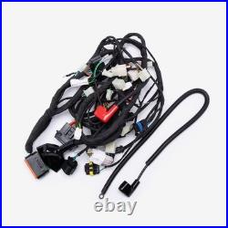 Wiring Loom Scooter Black Male/Female WRLM296 Durable Copper 12 V CABLE HARNESS