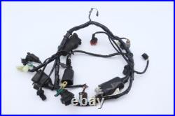 Wiring harness for motorcycle HONDA 125 CBF 2009 to 2014 Wiring harness for motorcycle HONDA 125 CBF 2009 to 2014