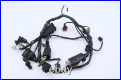 Wiring harness for motorcycle HONDA 125 CBF 2009 to 2014 Wiring harness for motorcycle HONDA 125 CBF 2009 to 2014