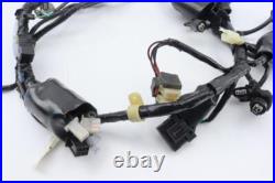 Wiring harness for motorcycle HONDA 125 CBF 2009 to 2014 Wiring harness for motorcycle HONDA 125 CBF 2009 to 2014
